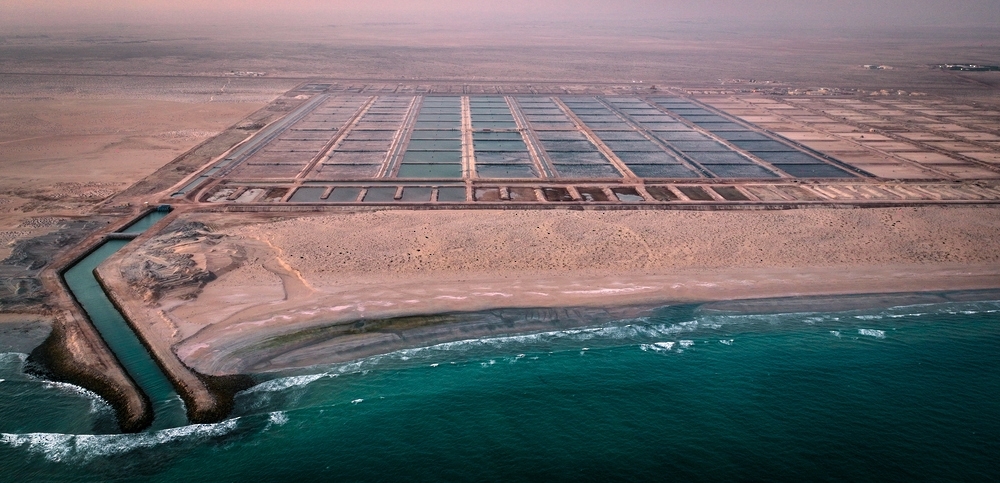FDO’s shrimp farm project at Khuwaimah
