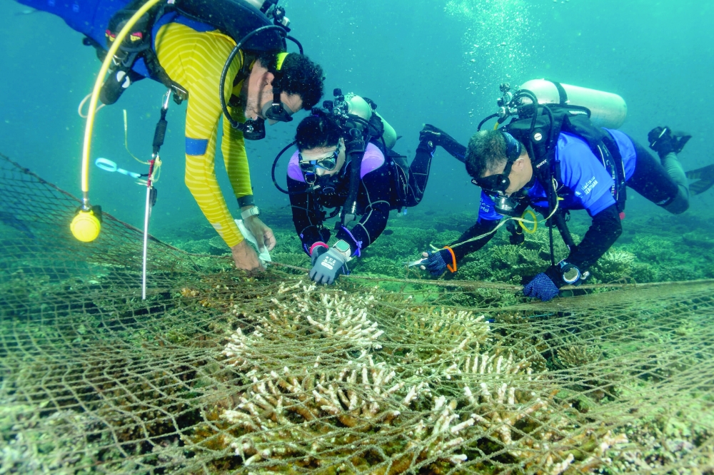 Underwater reef clean-up project at the Dimaniyat Islands  