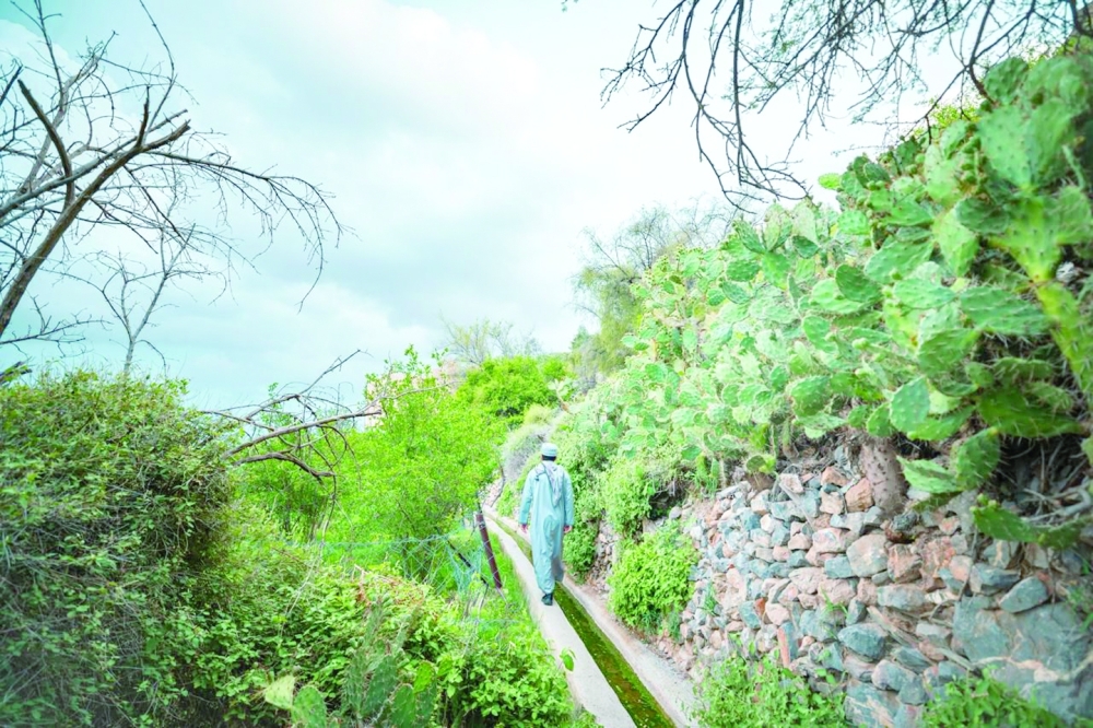 The Darbak platform is a cornerstone of adventure tourism in Oman