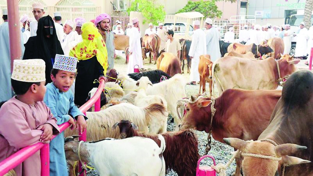 'Habta' is considered one of the ancient traditional customs of Al Sharqiyah South Governorate.