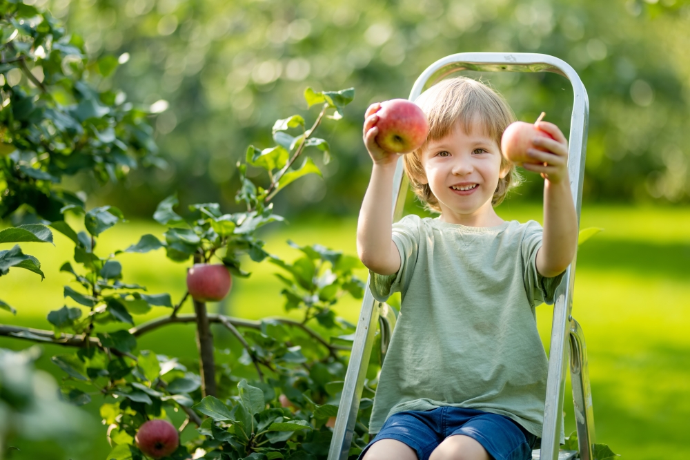 Protect your health by properly washing fruits and vegetables
