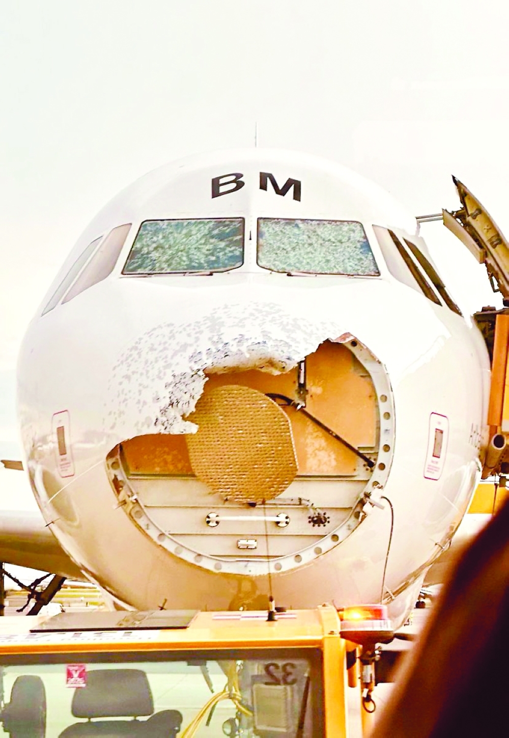 The Austrian Airlines Airbus A320 was flying from Mallorca to Vienna when chunks of ice slammed into the plane and its front windows