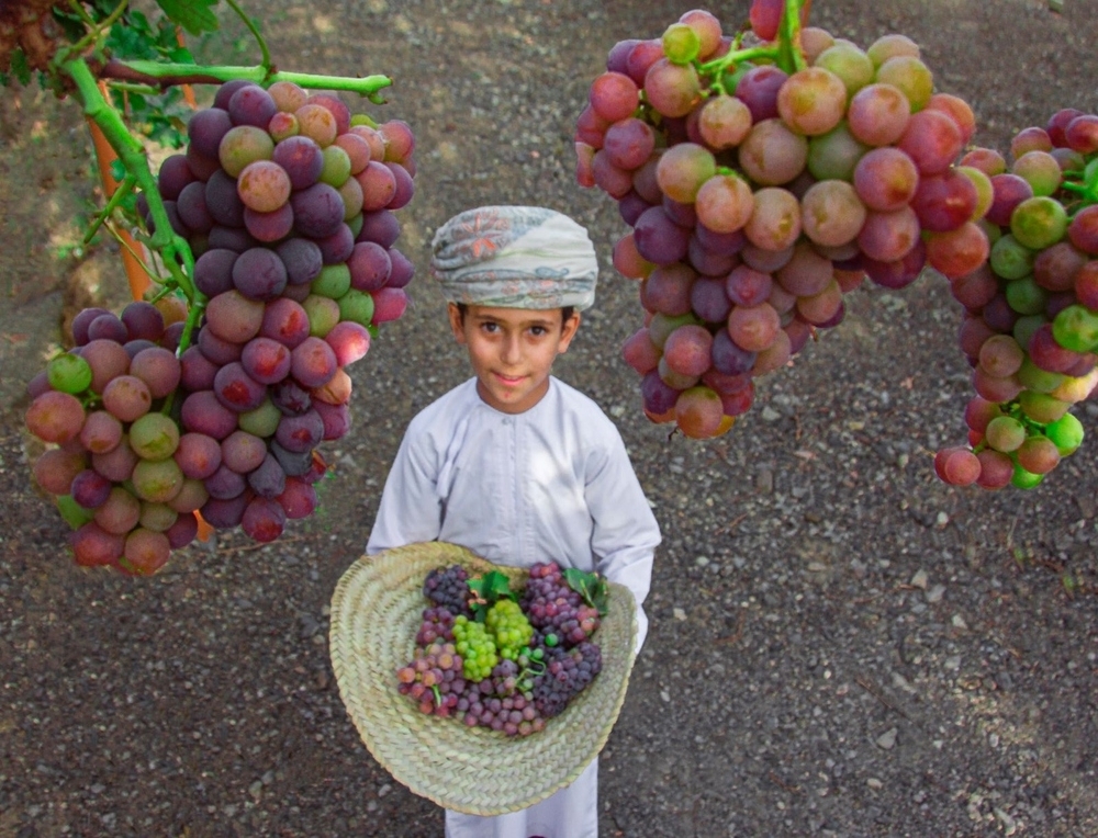 grapes2