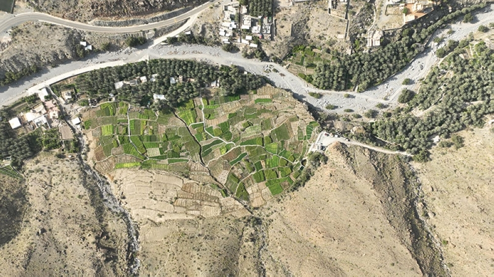 DJI_0641