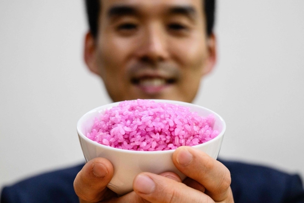 Hong Jin-kee posing with a bowl containing pink "meaty rice" at the Yonsei University in Seoul.