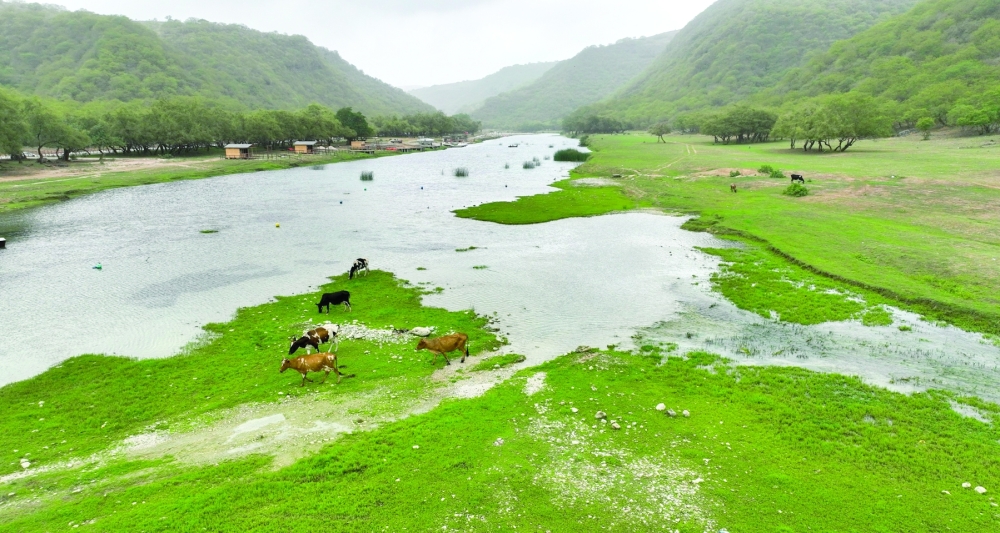 Enjoy a safe Khareef