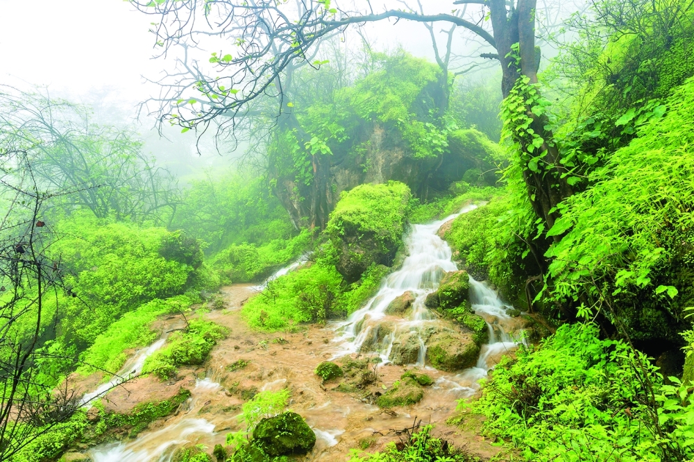 Local climate experts have meticulously analysed weather patterns, and their predictions paint a picture of an extraordinary khareef