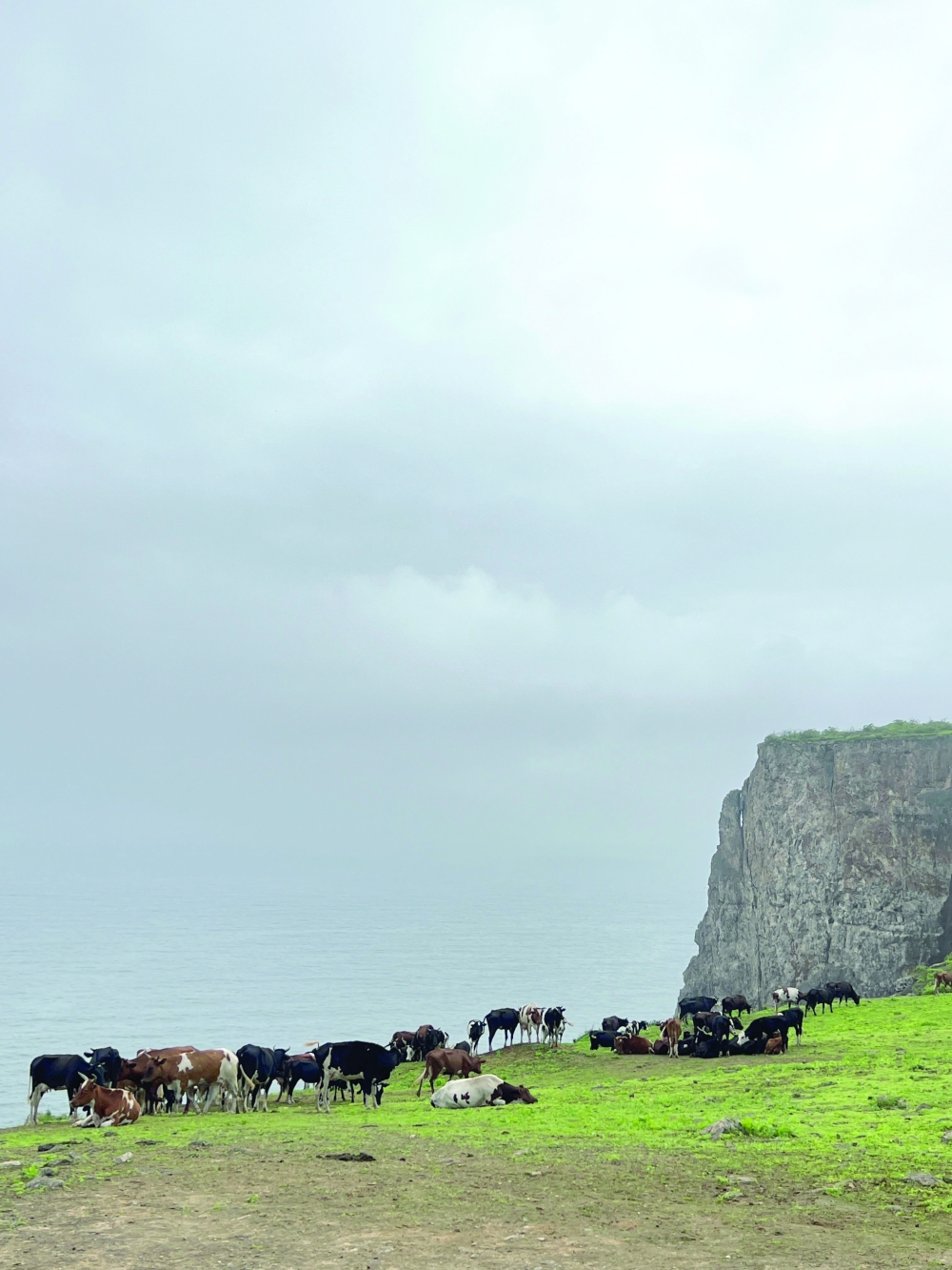 Dhofar’s enchanting khareef weather beckons