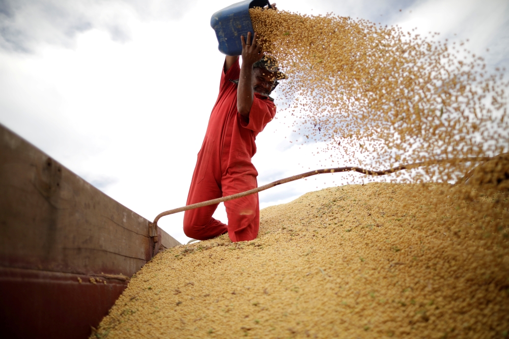A worker inspects soybeans during the soy harvest near the town of Campos Lindos, Brazil. — Reuters