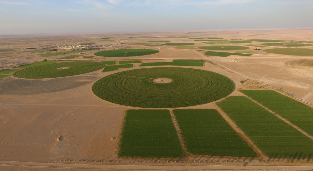 The Al Najd Project spans a vast area, with its farms collectively covering 54,000 acres.