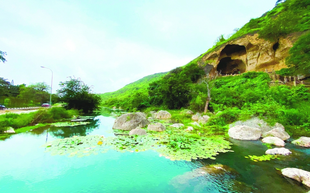 Study on biting flies looks at impact on tourism in Dhofar