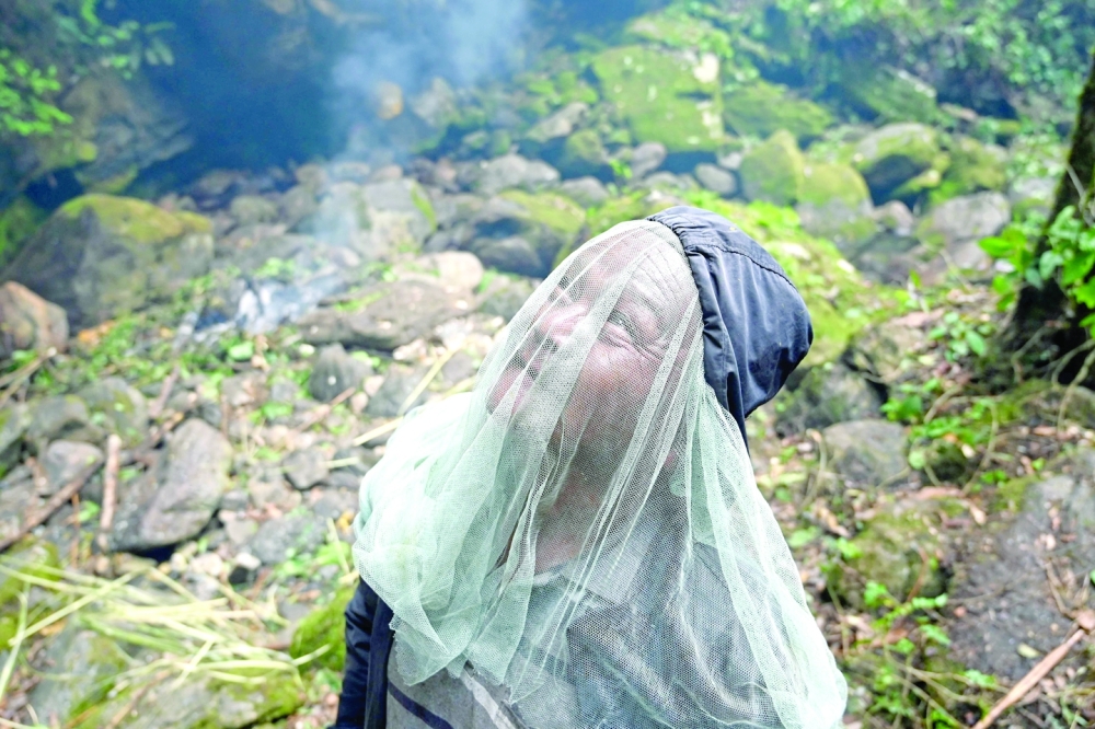 Sticky future: climate change hits Nepal's honey hunters