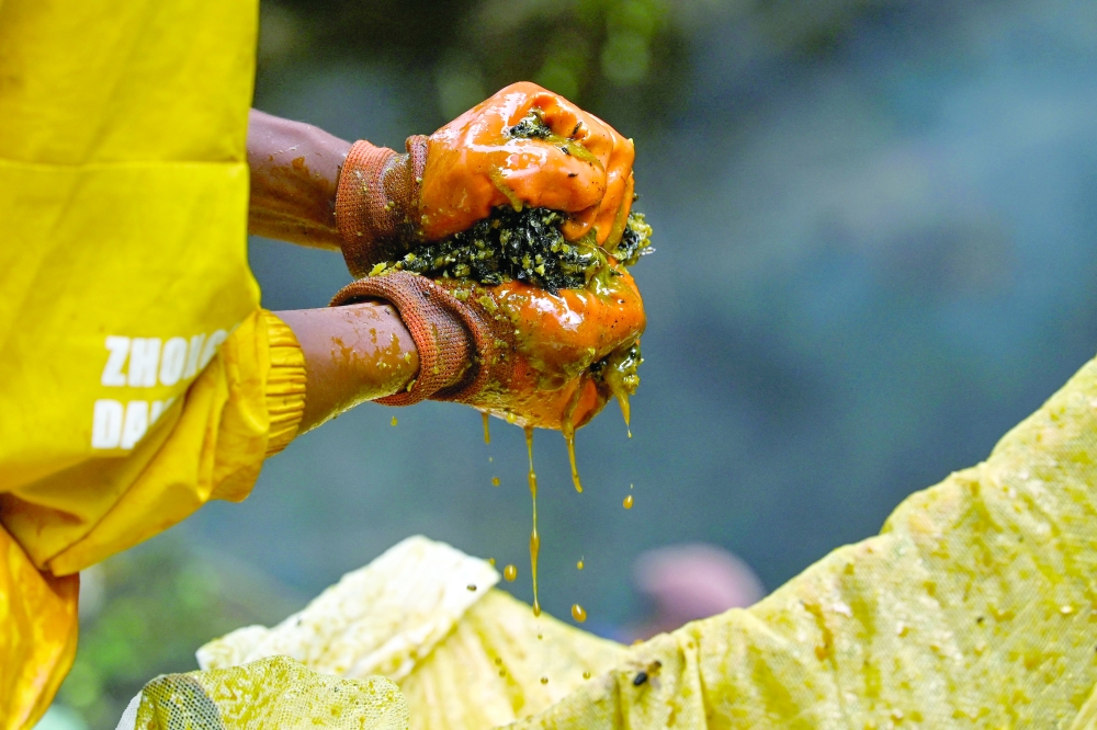 Sticky future: climate change hits Nepal's honey hunters