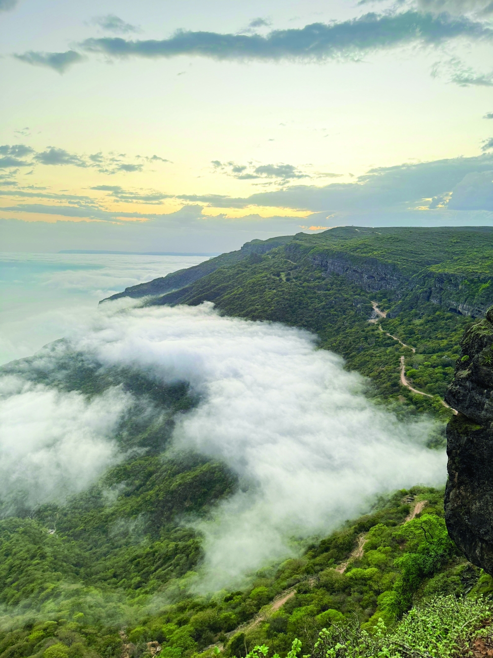 Monsoon blues: A guide for a safe and joyful khareef season