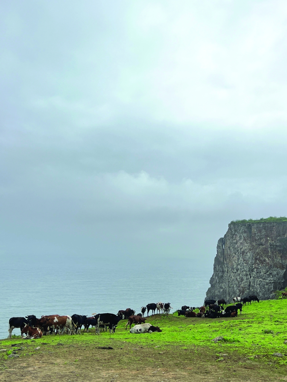 Monsoon blues: A guide for a safe and joyful khareef season