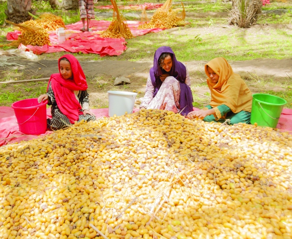 Al Tabseel season begins in Oman
