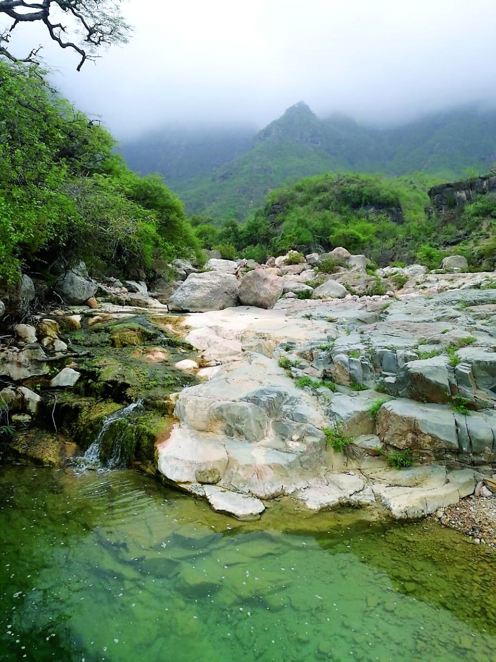  Verdant settings in Wilayat of Rakhyut
