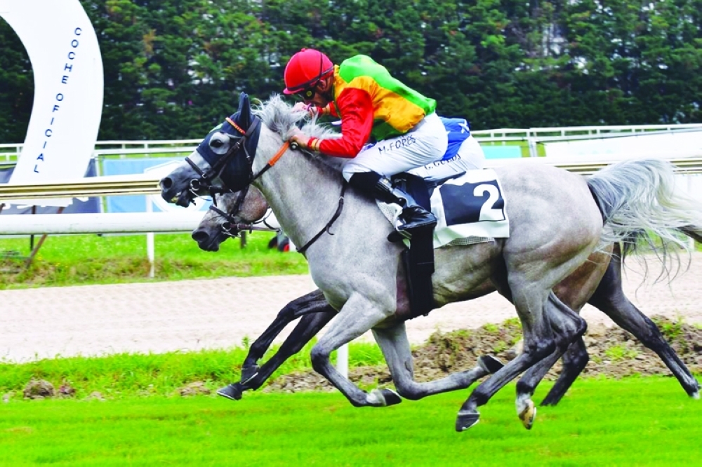 'Fatina' wins Sheikh Zayed Cup race in Spain