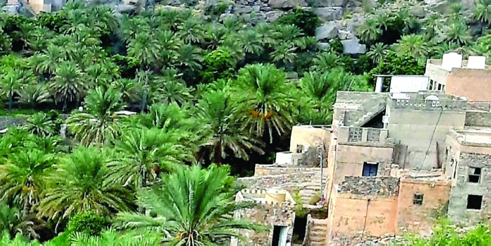 Misfat Al Abriyeen receives over 50,000 visitors in first half of 2024