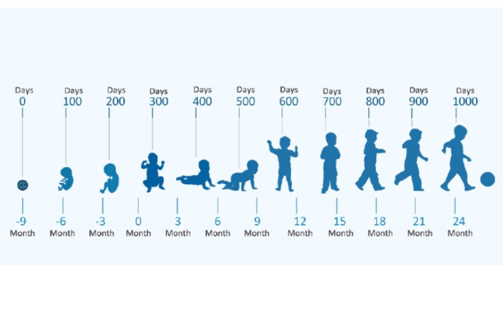 Good nutrition crucial for the first 1,000 days of a baby’s life
