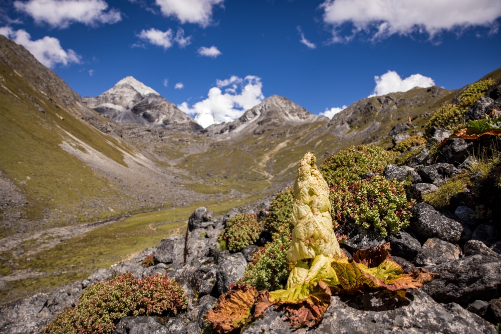 Jiten_230915_R2A2897