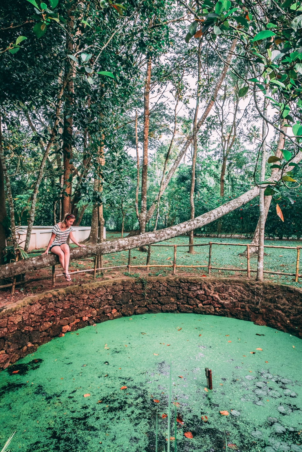 Pond at the Marari Beach Resort
