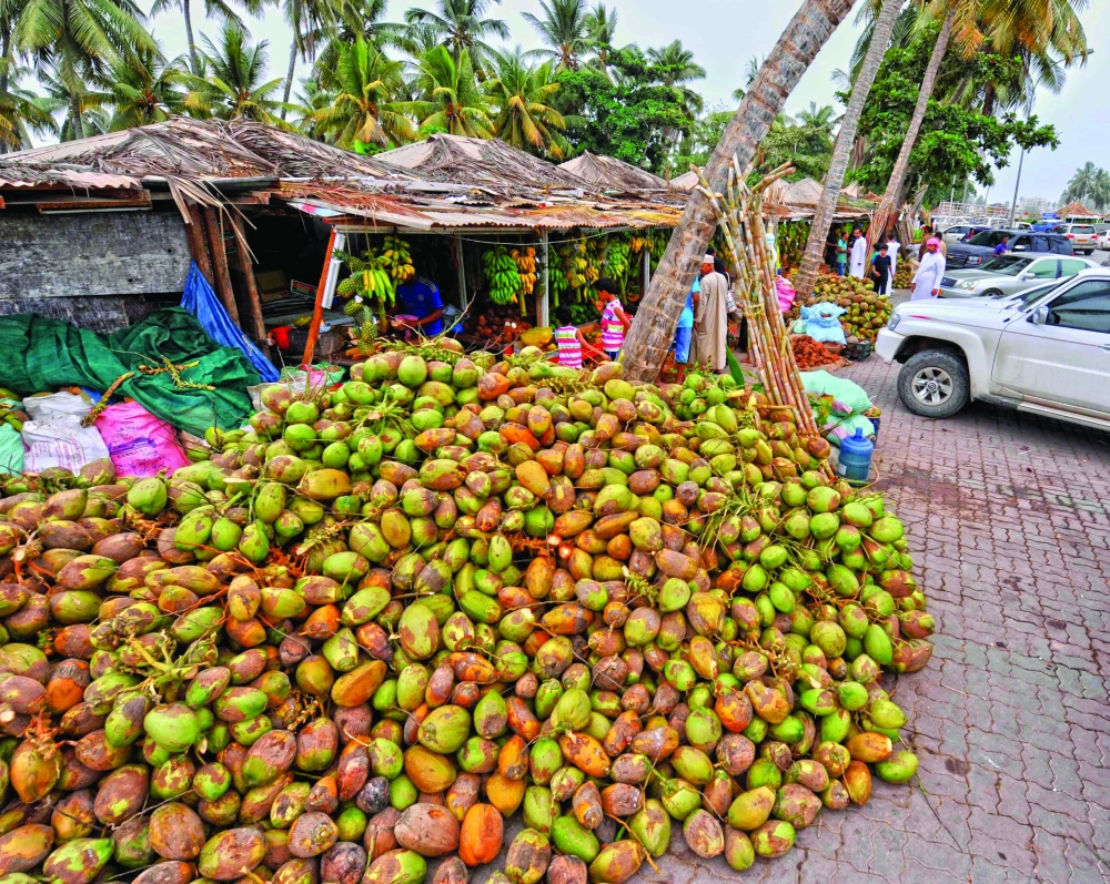 Coconut, bananas and papayas are the most important economic and food crops in the governorate