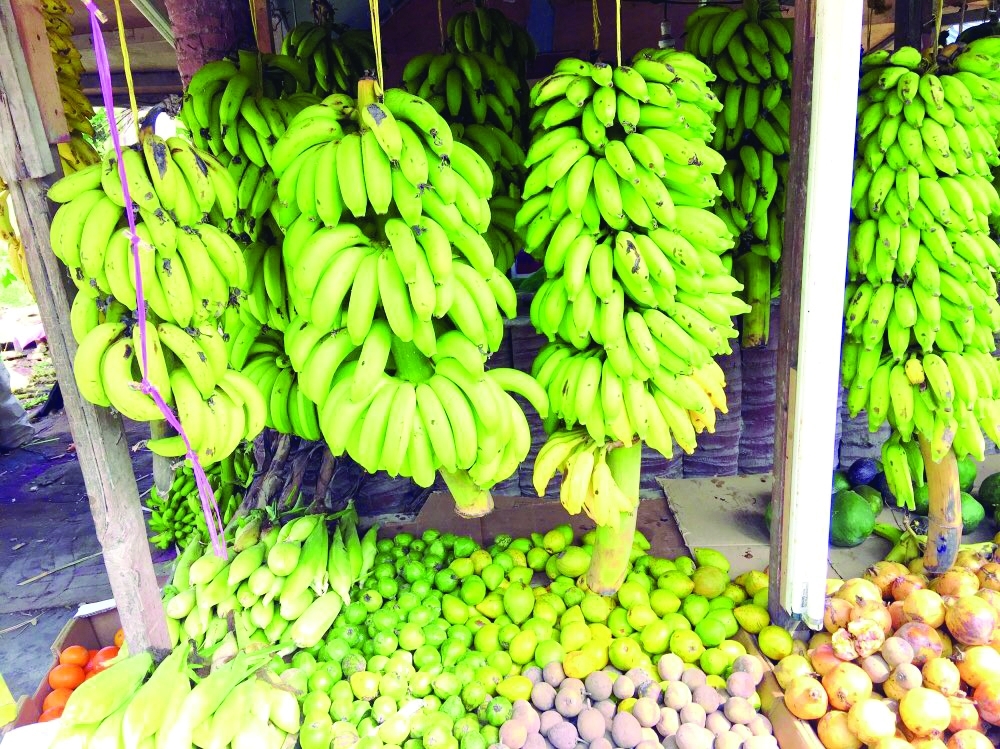 Dhofar Governorate: A seasonal paradise of agricultural riches