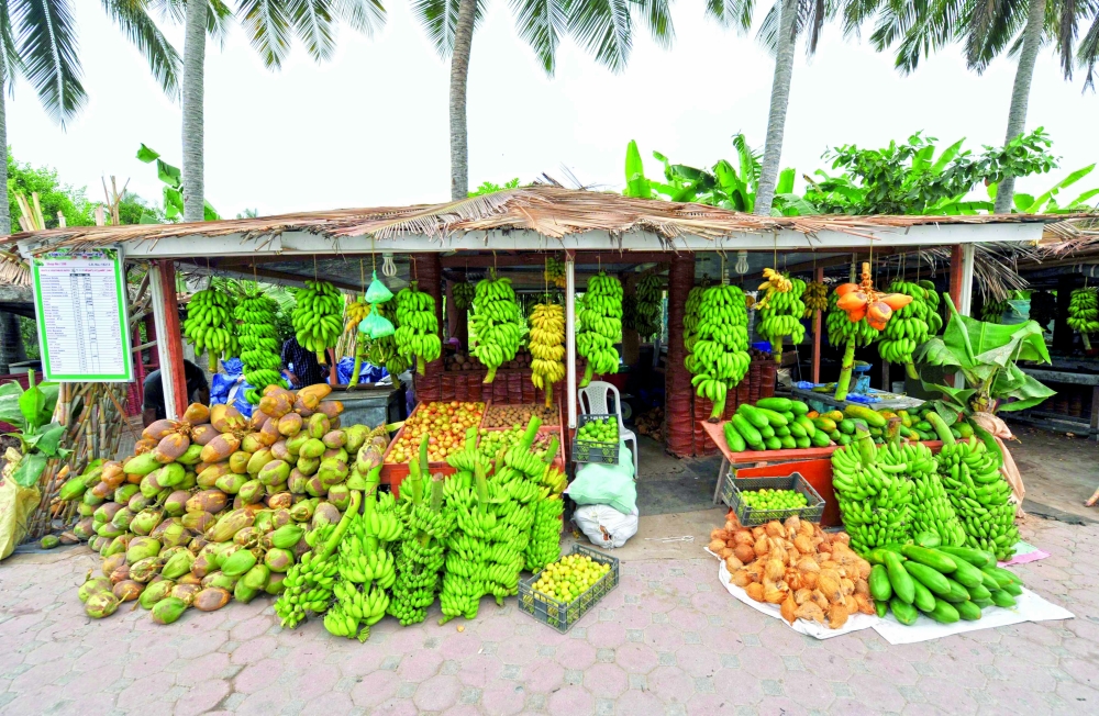 Dhofar Governorate: A seasonal paradise of agricultural riches