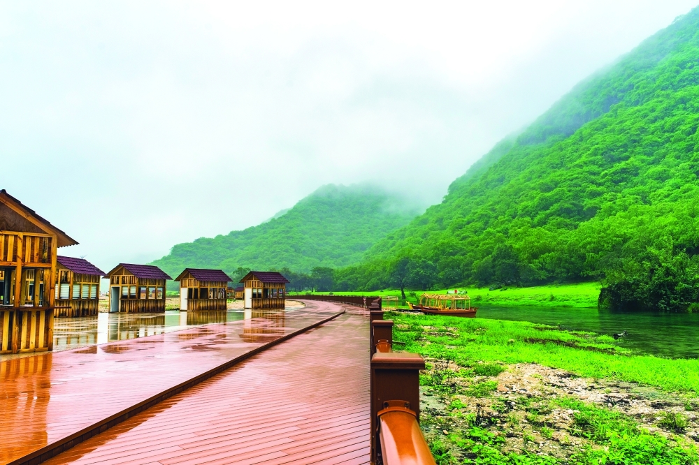 Dhofar beckons as khareef season gains pace