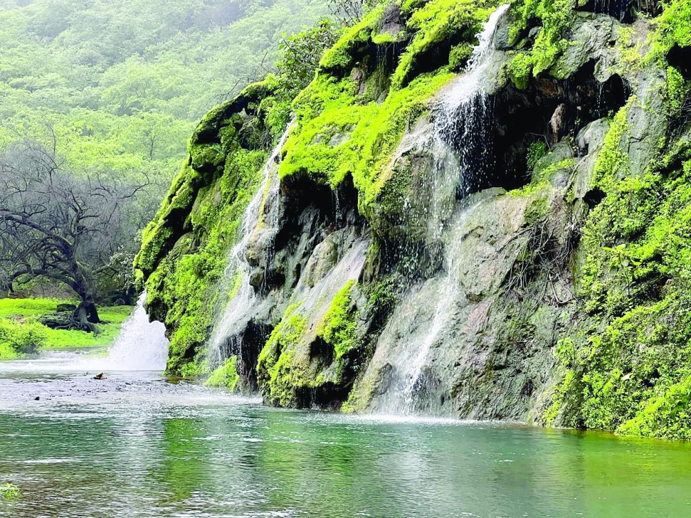 Dhofar beckons as khareef season gains pace