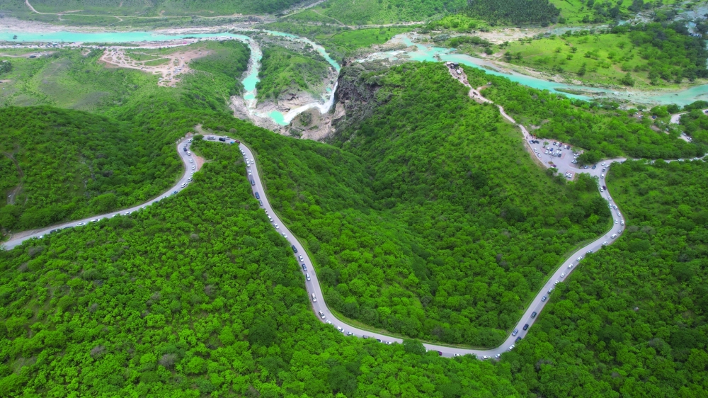In Dhofar, the grasslands are considered special as they come to life during the Khareef season. - Photo by Mohammed Amer al Maashani 