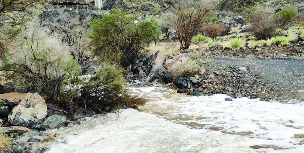 Rains lash some wilayats on Monday