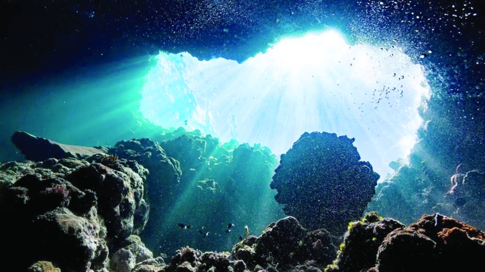 Oxygen Discovery Defies Knowledge of the Deep Ocean