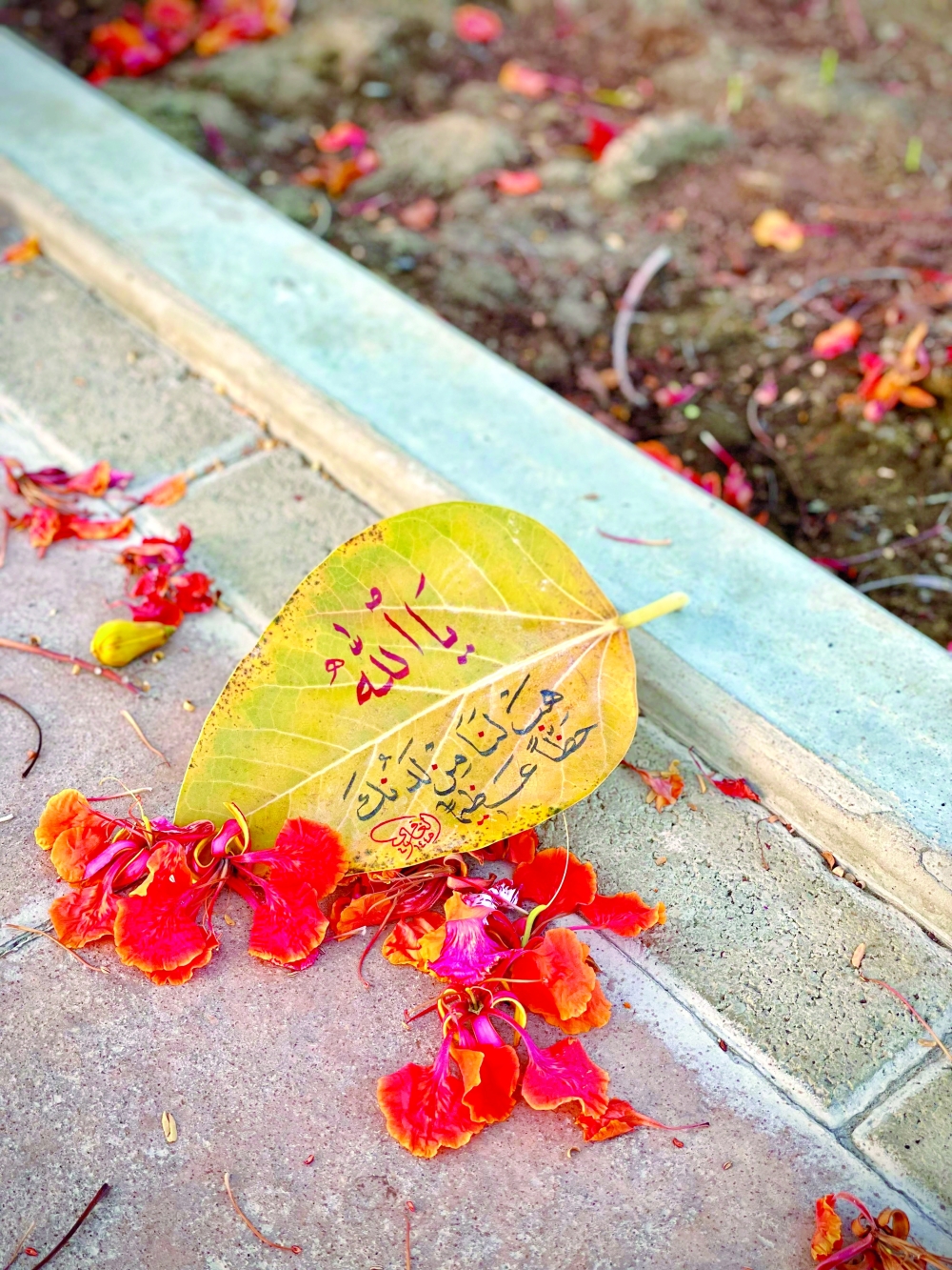 Revival of Arabic calligraphy in Oman