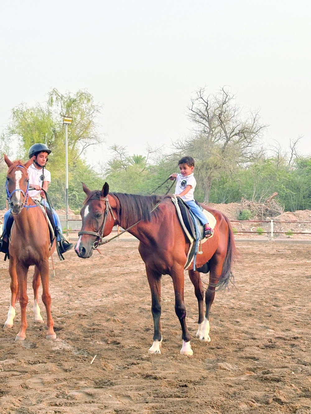 Arabs have an enduring link with horses