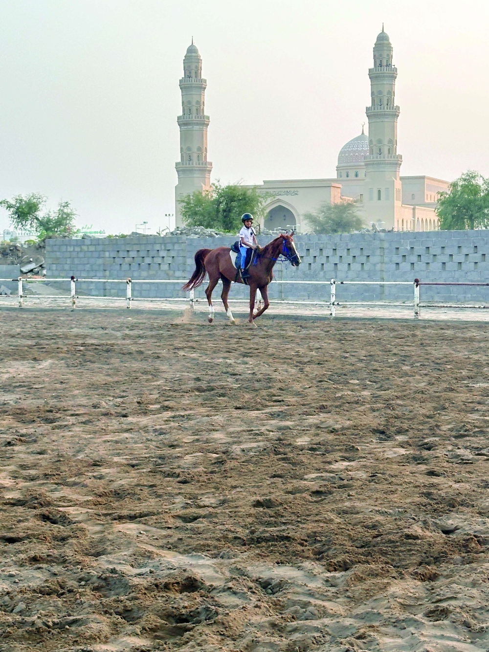 Arabs have an enduring link with horses