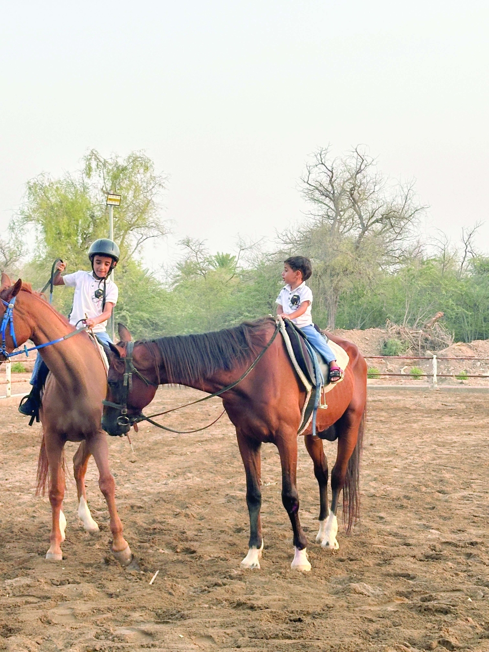 Arabs have an enduring link with horses