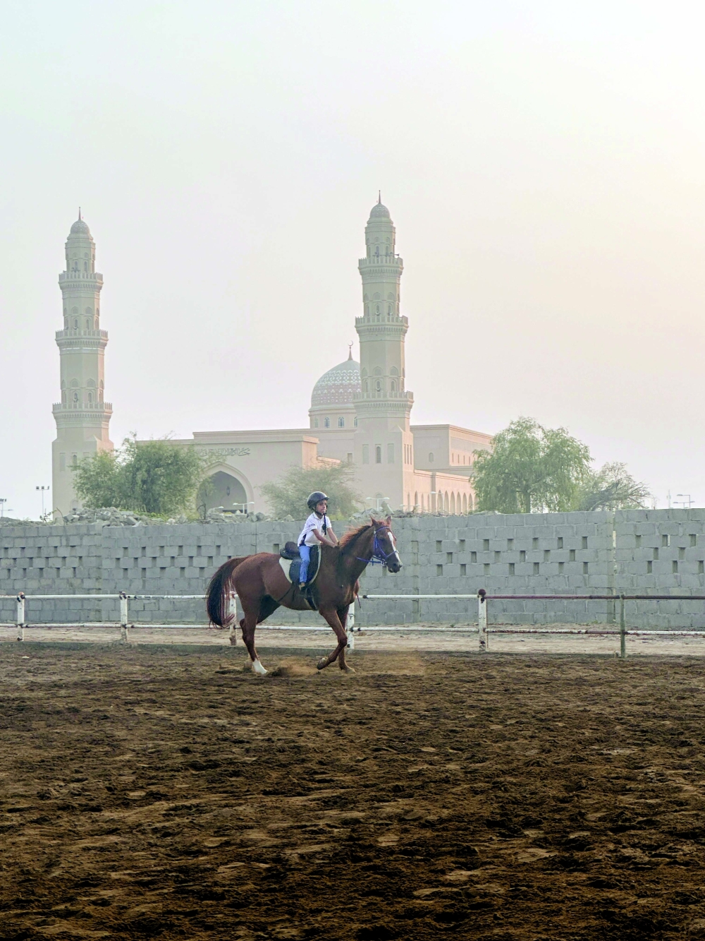 Arabs have an enduring link with horses