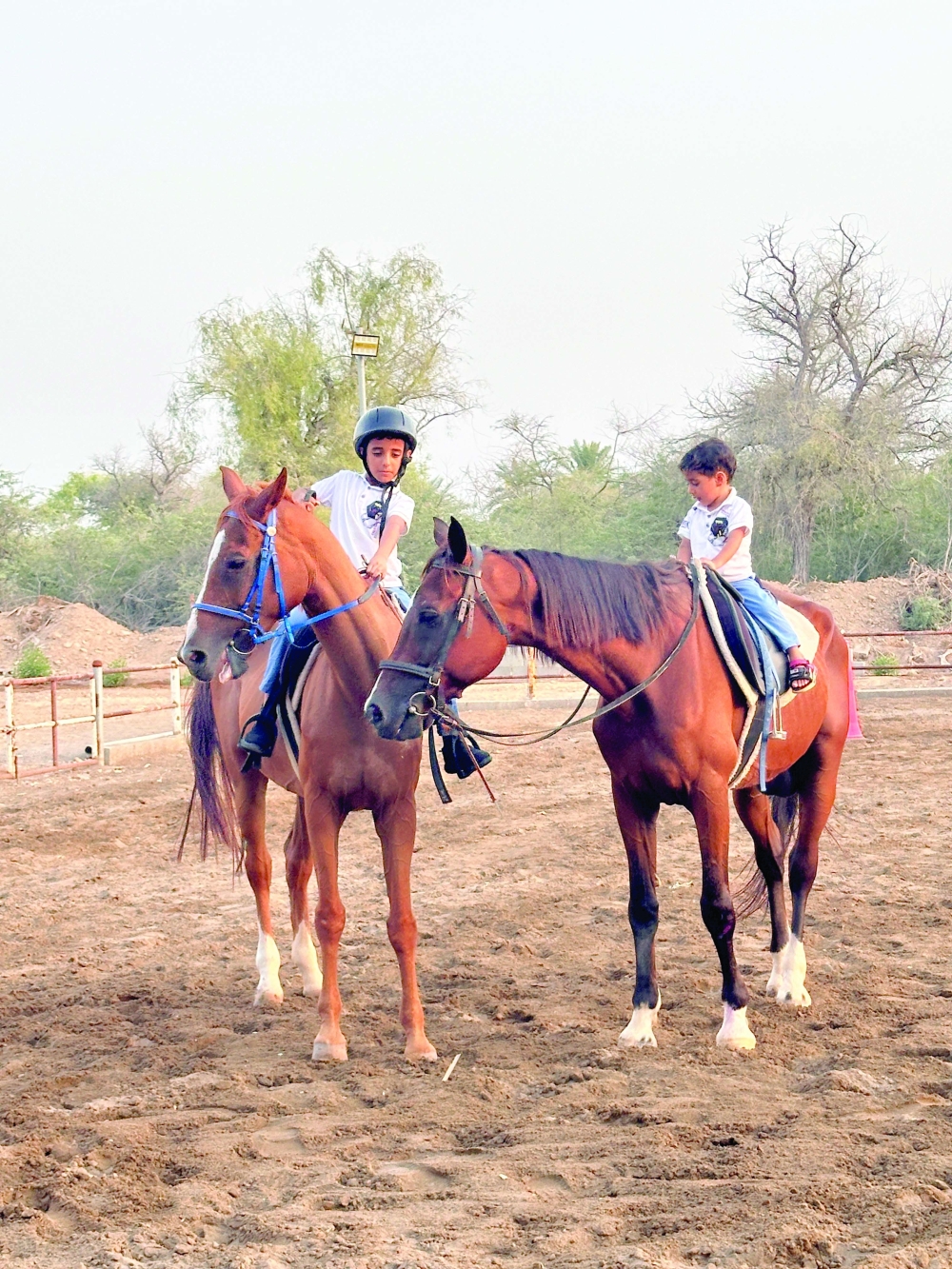 Arabs have an enduring link with horses