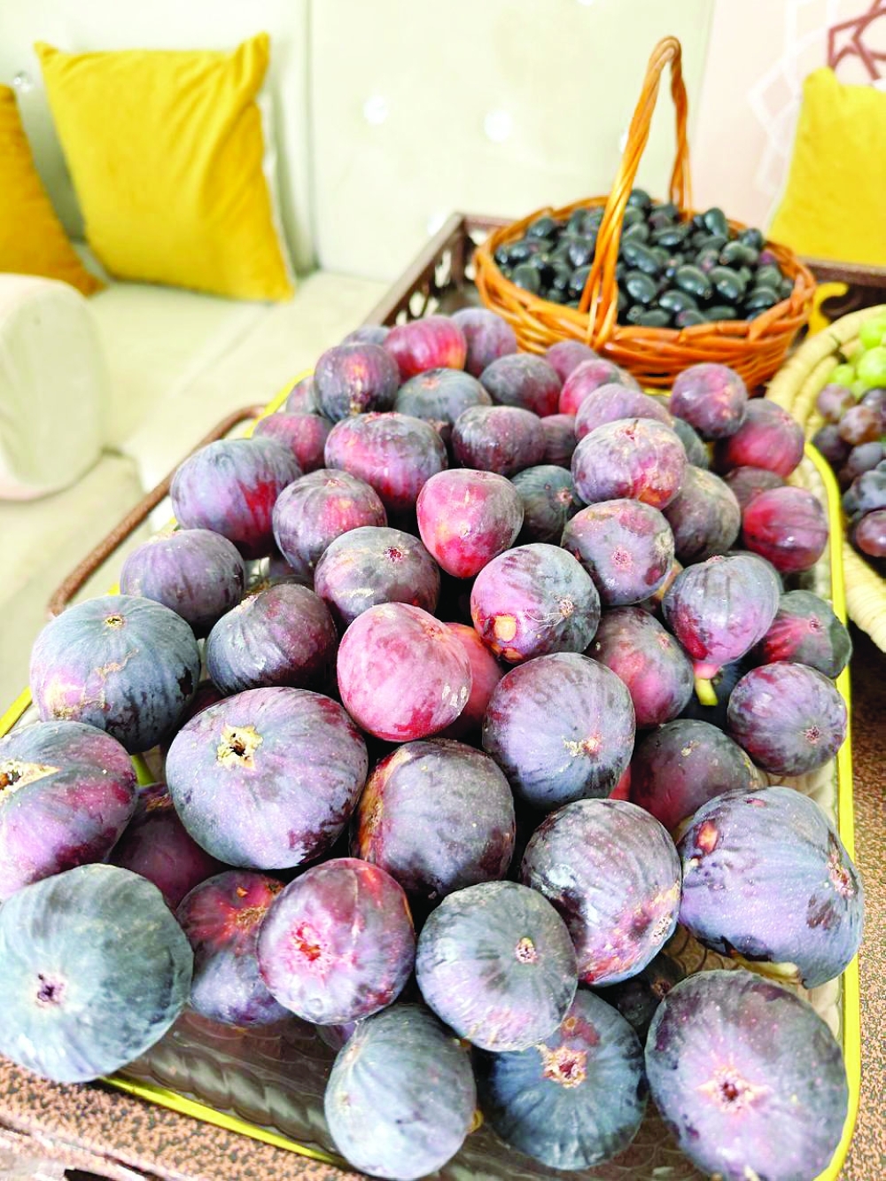 Agricultural sector thrives in Al Sharqiyah North Governorate