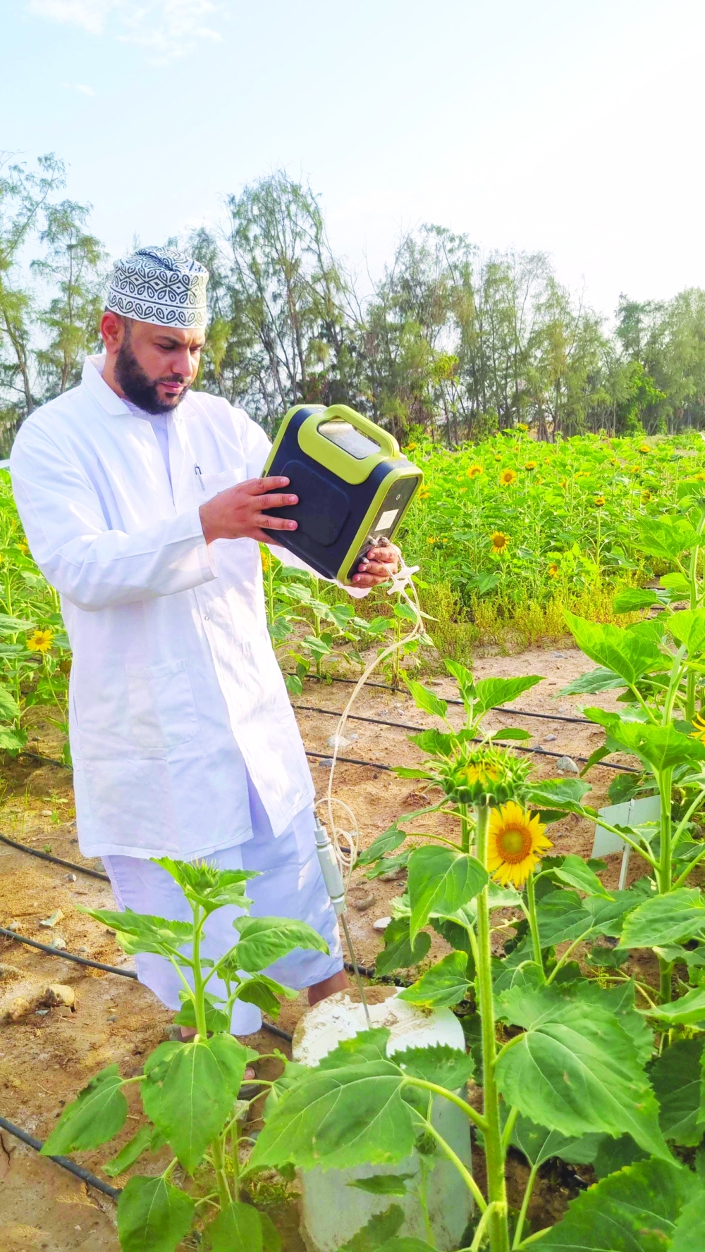 Biochar: A sustainable solution for agriculture and climate change in Oman