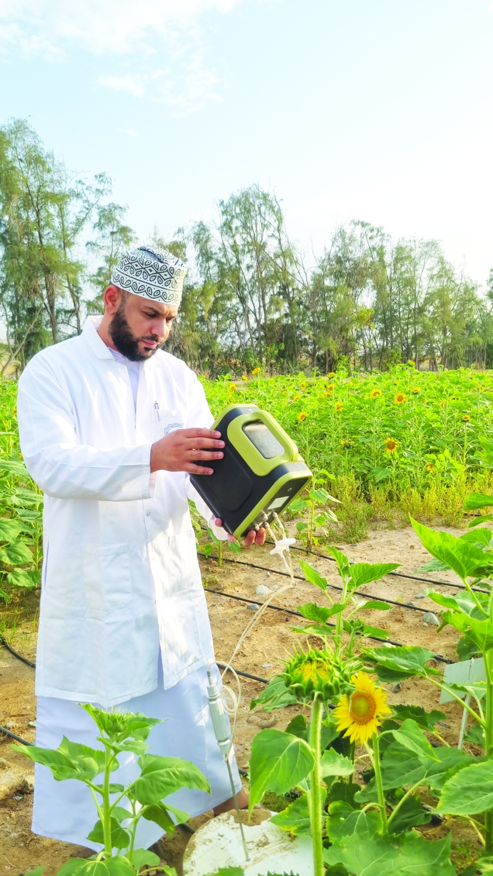 Biochar: A sustainable solution for agriculture and climate change in Oman