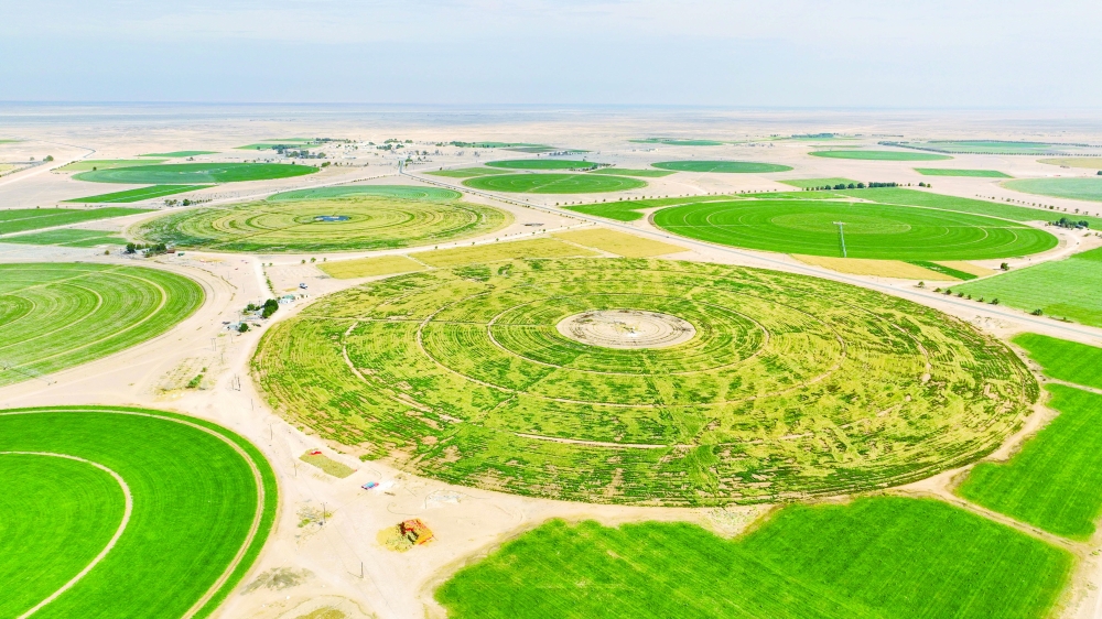 Significant investments are being made in the Najd agricultural region, with ample land available for food security projects.