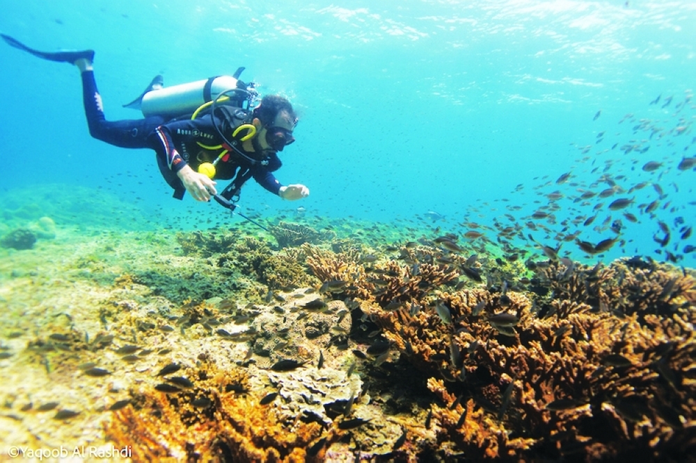 SeaOman gain PADI certifications as Tripadvisor Award