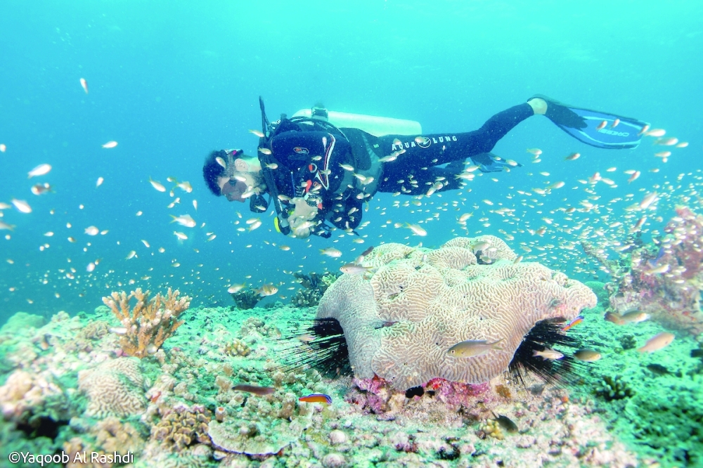 SeaOman gain PADI certifications as Tripadvisor Award