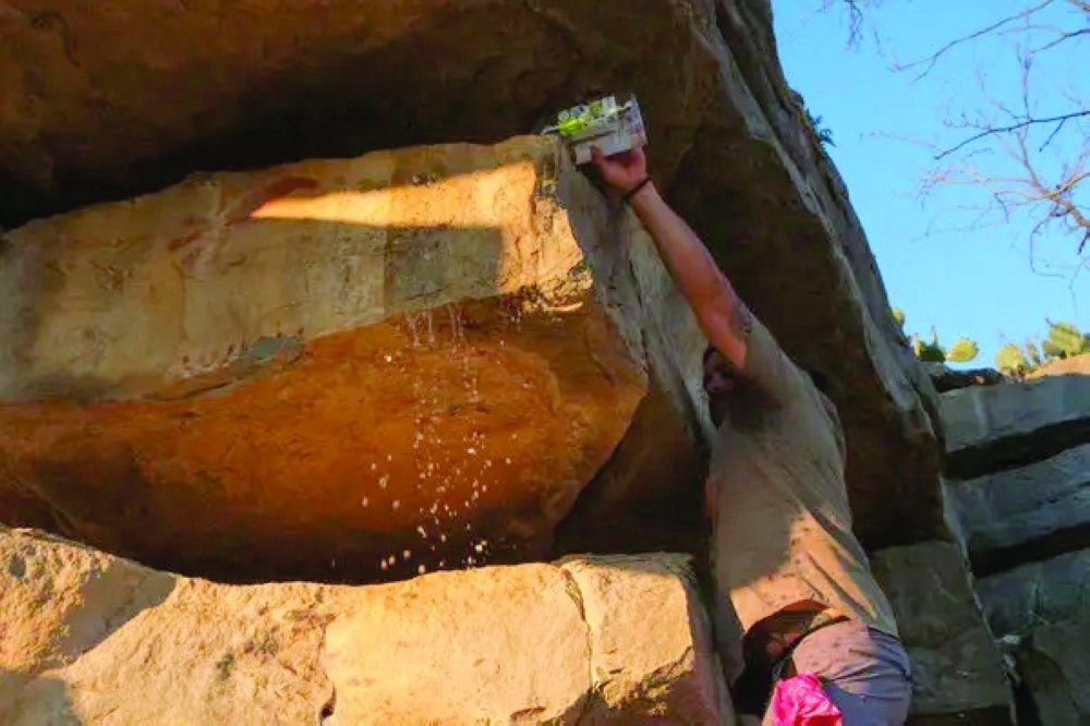 At Paint Rock, Centuries of Native American Artistry