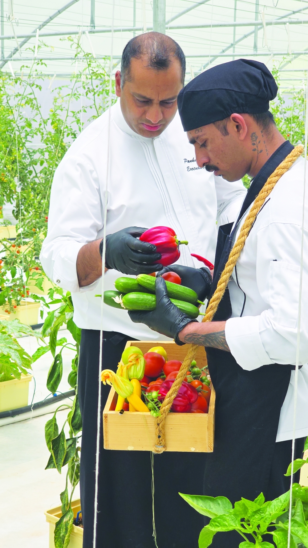 How Jabal Akhdar's hydroponics are shaping the future of local foods