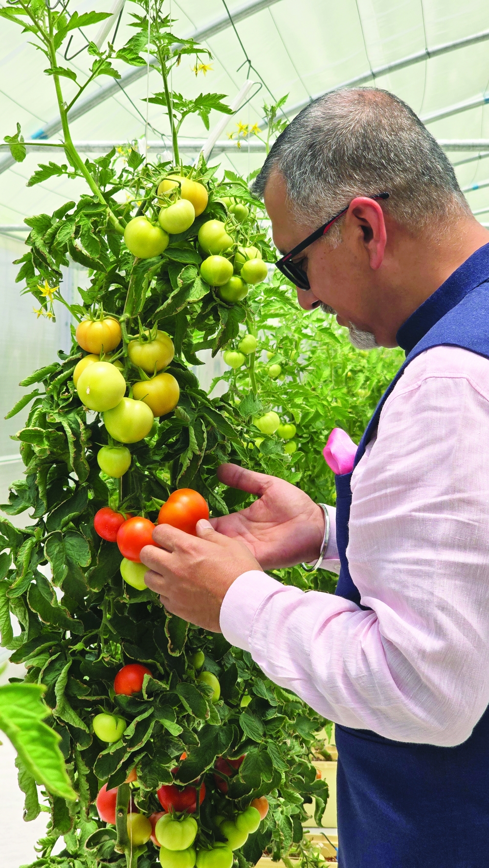 How Jabal Akhdar's hydroponics are shaping the future of local foods