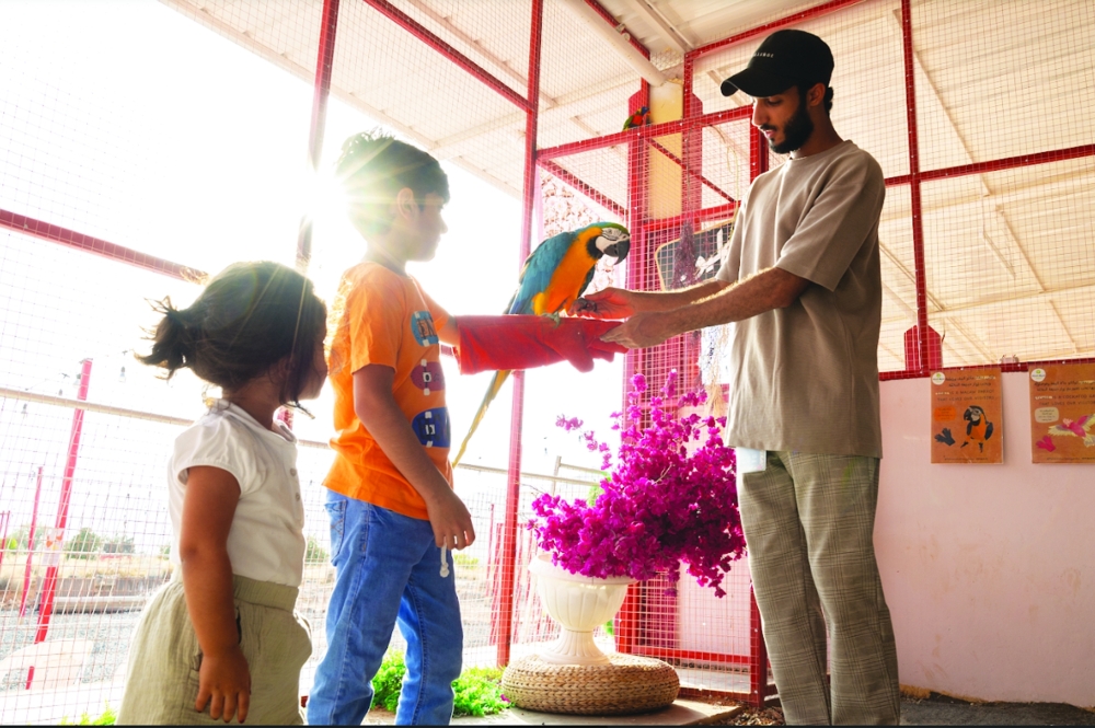 Expect fun-filled activities in Rummana's second edition